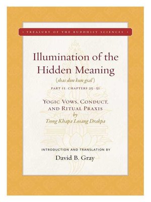 cover image of Illumination of the Hidden Meaning Volume 2